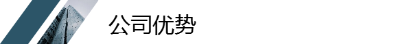 公司優(yōu)勢(shì)